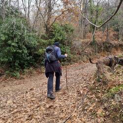 Ist es ein Grieche? Ist es ein Seebär? Nein, nur der bärtige Alex mit dem Stock den Anina fand.