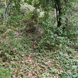 Jetzt ist der Weg endgültig nicht mehr vorhanden....