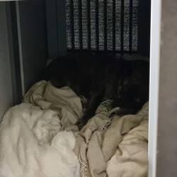 Endlich darf ich schlafen