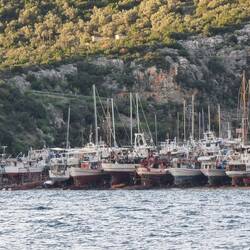 Wie Anina so schön sagt, ein "Schiffsrudel"