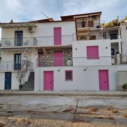 Nicht ganz Aninas Farbe