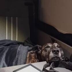 Da muss jemand viel verarbeiten