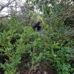 Nara fands nicht so cool wenn sie Alex nicht mehr sah...