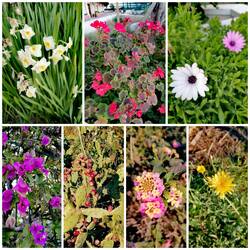 Wir haben den 7.1 und hier blüht alles 🤔😉