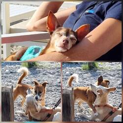 Jeder geniesst die Pause auf seine Art 🥰