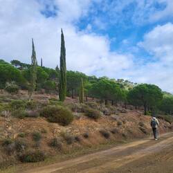Es gibt sogar etwas blauen Himmel.