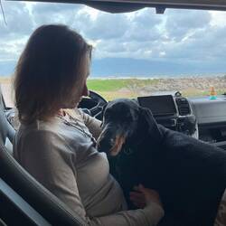 ..Wäsche ist fertig und wir machen es uns heute mal wieder ganz vorne gemütlich🐾❣️