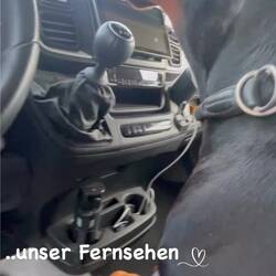 Schatzi kocht schon wieder 🫠 und wir genießen den Ausblick mit einem Aperitif 🍹