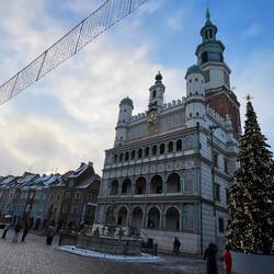 Find the trumpet player