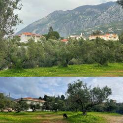 ..und drehen eine Runde in der näheren Umgebung 🚶🏼🚶🏽‍♀️🐾