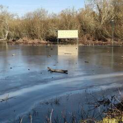 Frozen lake, Bishop's Waltham