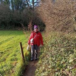 Soberton public footpath