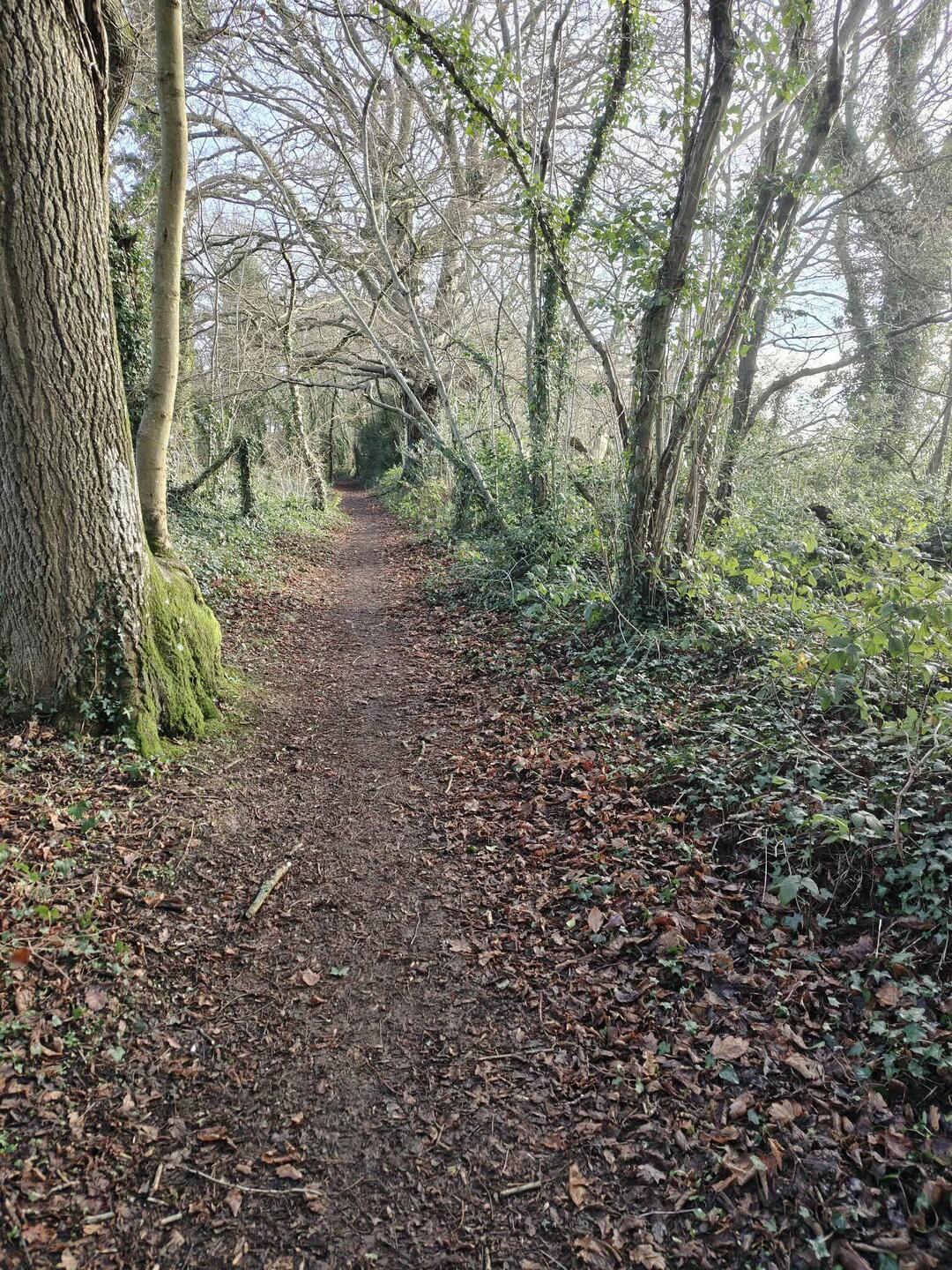 Soberton public footpath