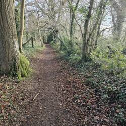 Soberton public footpath