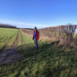 Public footpath, Soberton