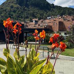 oben mit der Seilbahn angekommen