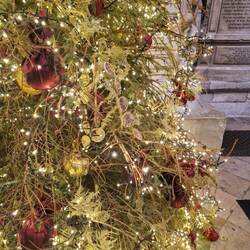 Der Weihnachtsbaum hat es erlebt.