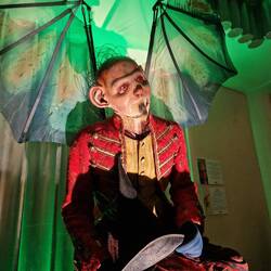 Der fliegende Affe 🐵