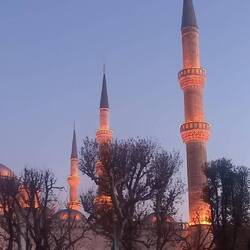 Mosquée bleue