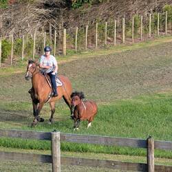 Katja on Vivi exercising Cossack who wasn't really liking the idea.