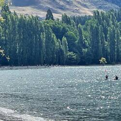 Der weltbekannte Wanaka Tree - man beachte die vielen Leute rund um den Baum
