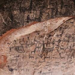 Lamas waren vor Urzeiten wohl nicht zu knapp