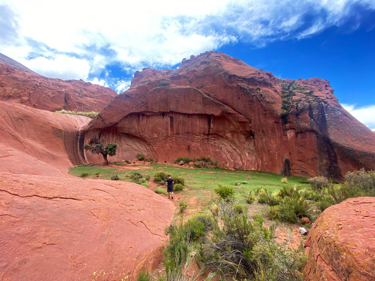 Eine surreale Oase im kargen Nichts