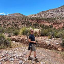 Lama vs. Lahmer 😉