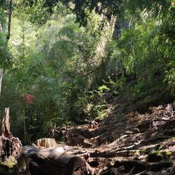 So sah unser Wanderweg aus.