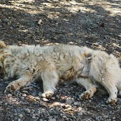 ist zwar nicht mitgewandert, hat uns aber schon vor Beginn gezeigt, wie die meisten danach aussehen
