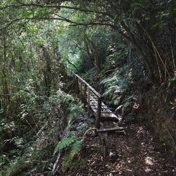 unterwegs im Regenwald