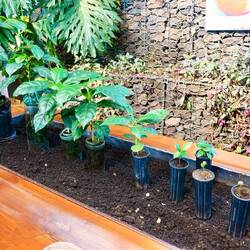 Die Entwicklung des 1 Jahres