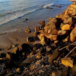 Kein Wunder mufft es hier so nach Fisch😆