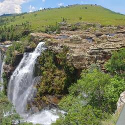 die imposannten Lisbon Galls