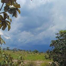 oh, da braut sich wieder was zusammen ⛈