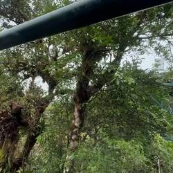 Last ride of the day for M&A! Can you believe the view and how fast we were going?