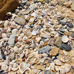 Great beach combing!