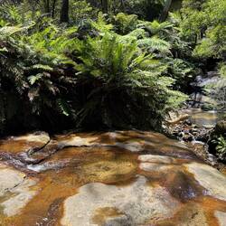 der reissende Wasserfall 😉