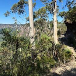 Blue Mountains Wanderweg
