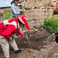 Lunch was cooked in a pit covered in earth.