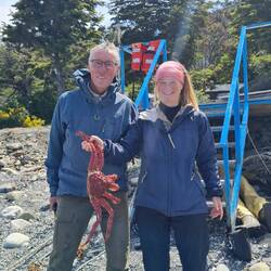 Die Krabbe wird nicht in kochendes Wasser geworfen. Wir waren bei der Tötung dabei.