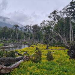 Und an einem neuen romantischen Übernachtungsplatz