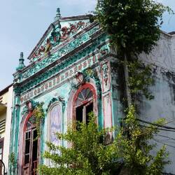Nature takes hold on many of the buildings