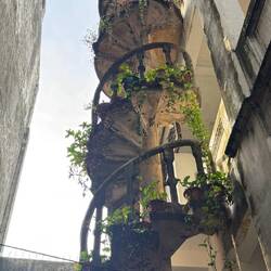 Spiral stairwell at Patma's Cafe, linking his cafe to his house