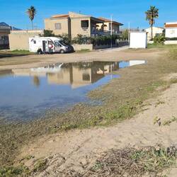 Die anderen scheinen oberflächlich feucht zu sein.