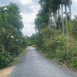 Lovely 'road' almost all to ourselves