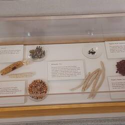 Was die Pueblo Bewohner angebaut haben.