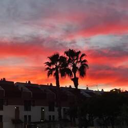 Ca. 18Uhr. Bis morgen 🙋‍♂️🐕‍🦺🙋‍♀️