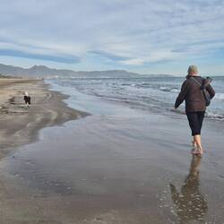 Fußmassage nicht nur für 🐕‍🦺, 5 km am Strand barfuß.