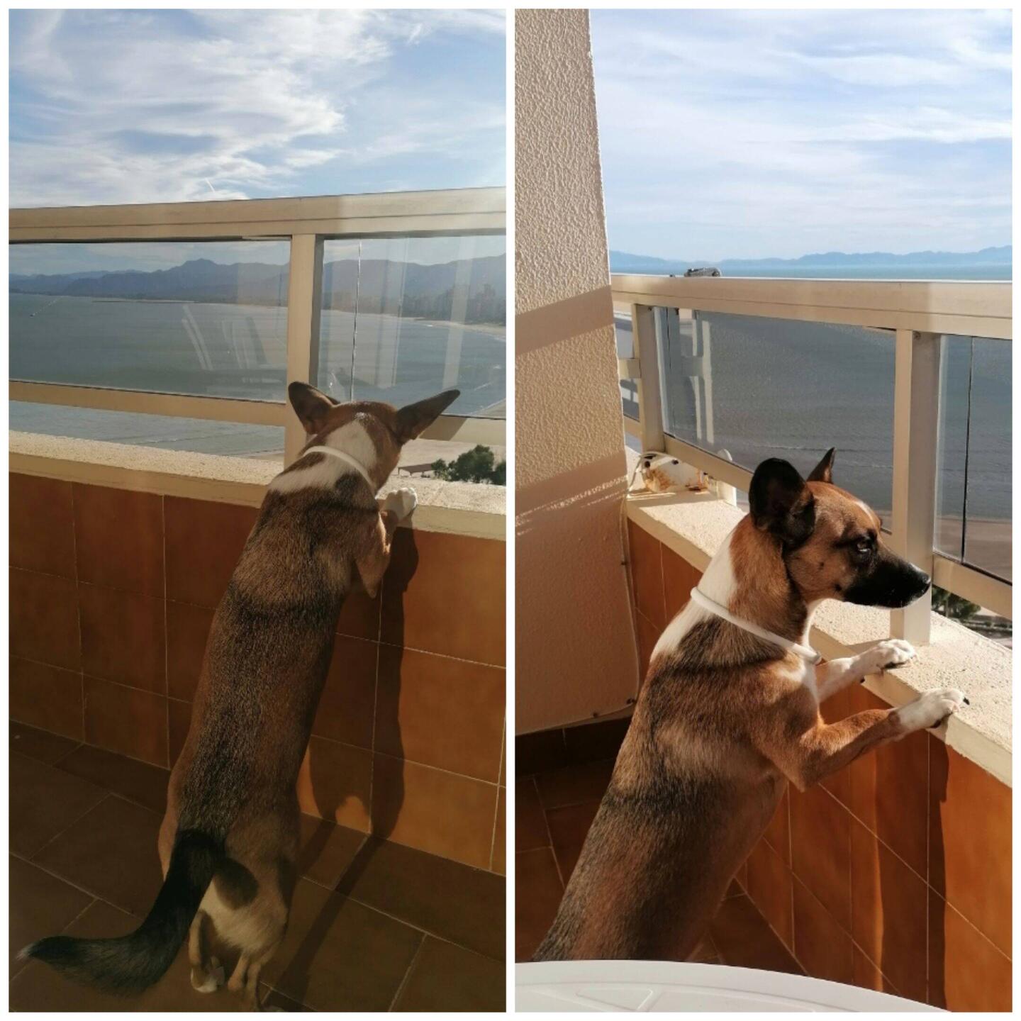 Fanny traut sich was